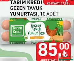 TARIM KREDİ GEZEN TAVUK YUMURTASI 10 ADET